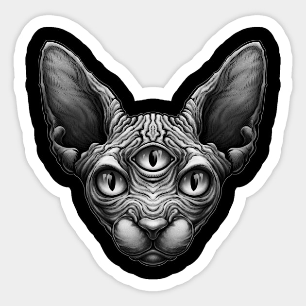 Egyptian sphynx cat clearance